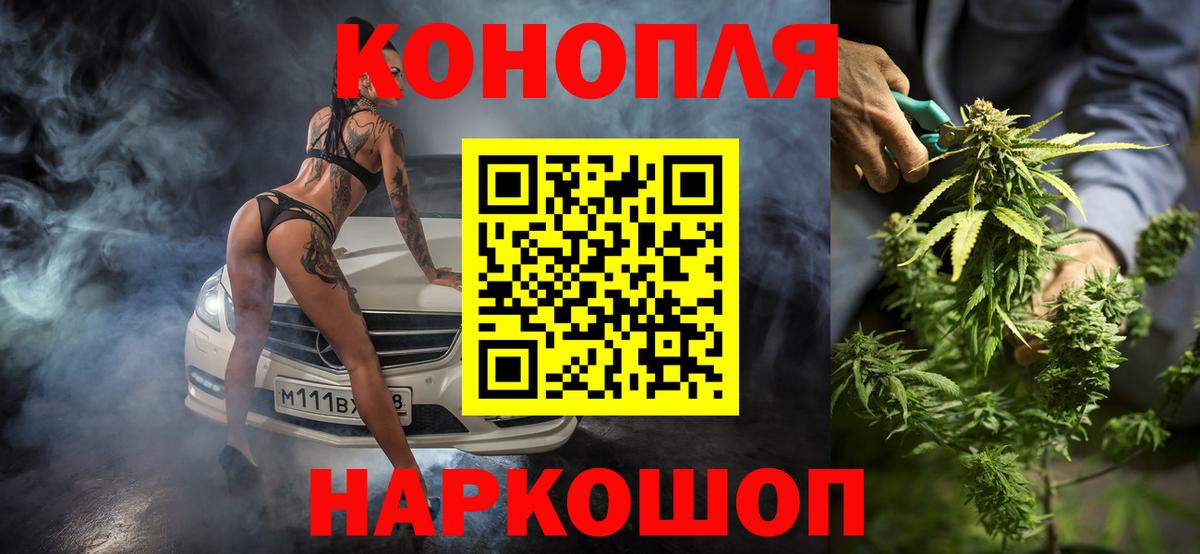 Конопля MAZAR  Вход с VPN  Кудрово  Канабис сатива 